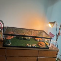 55 Gallon Reptile Tank With Heat Lamp And Accessories 