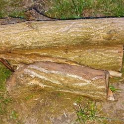 Firewood Bundles