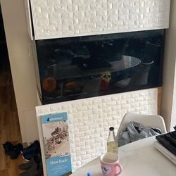 90 Gallon Fish Tank