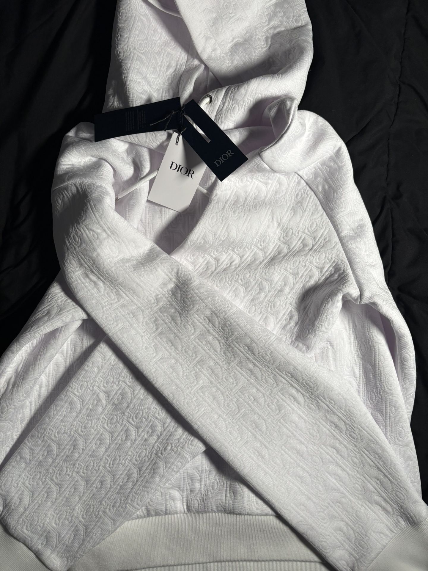 Dior Hooded Sweat Shirt