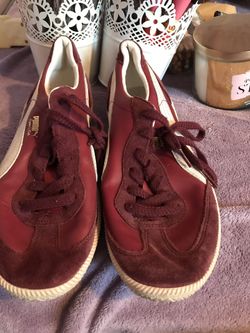Pumas