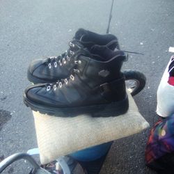 Harley Davidson Boots Size 13