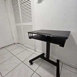 Adjustable sit/stand desk on wheels! Works perfectly!