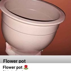 Flower Pot