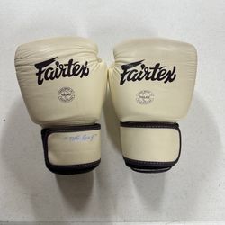 Fairtex Gloves