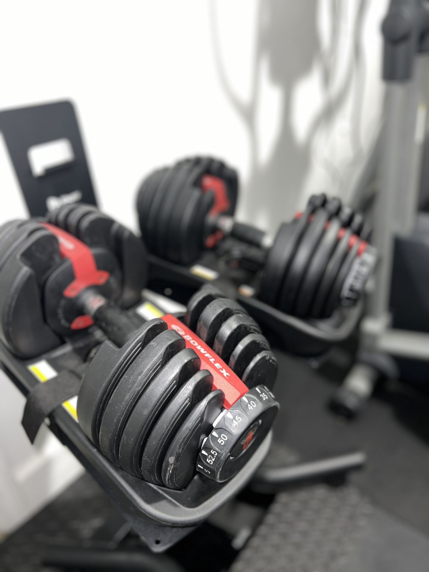 Bowflex SelectTech 552 Dumbbells – Pair & Lifepro Adjustable Dumbbell Stand