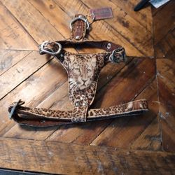 Small Dog Backbone Leopard Skin Backbone Harness Brand New Tags Attached
