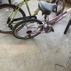 Adult Bikes