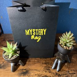 Mystery Bag