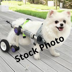 “Let Pet Run” Wheels Doggie Wheelchair Size 4 (Small) NEW