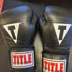 Title Genuine Leather Boxing Gloves