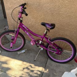 2 Cool Purple Bicycle