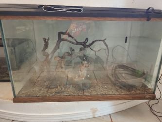 Habitad Para Reptiles/Reptile Habitat