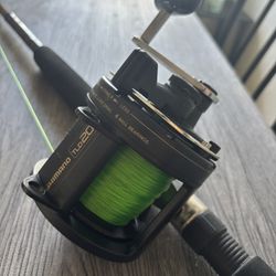 Shimano TLD20/conventional Rod 