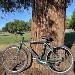 Giant Iguana mountain bike 