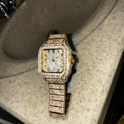 Watch Stainless Steel Mechanical 8336G