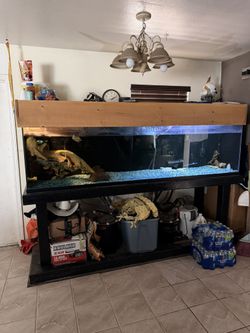 240 Gallon Aquarium Tank