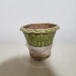 Plant Pot