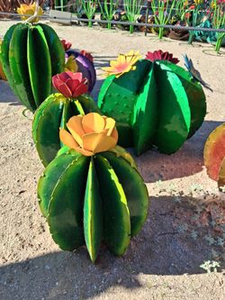🌺 Rustic Desert Elegance – Cacti, Agaves & Garden Art