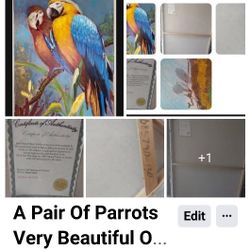 A Pair Of Parrots Original Signed Picture 