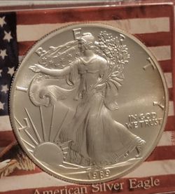 1989 American Silver Eagle Coin