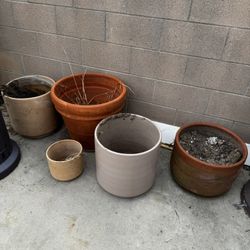 Misc Plant Pots ($5 To $10 Each)