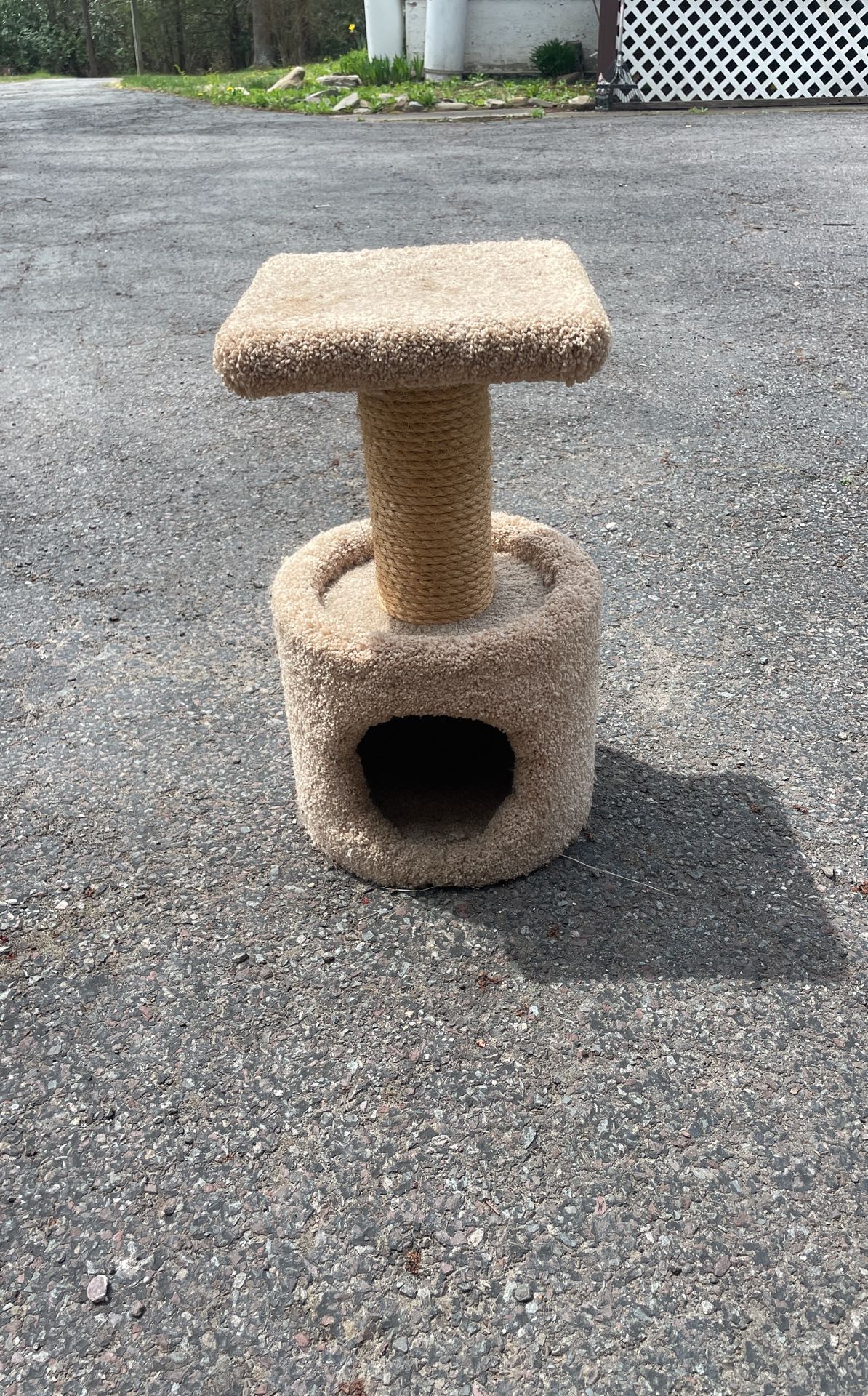 Cat Scratching Post With Cubby