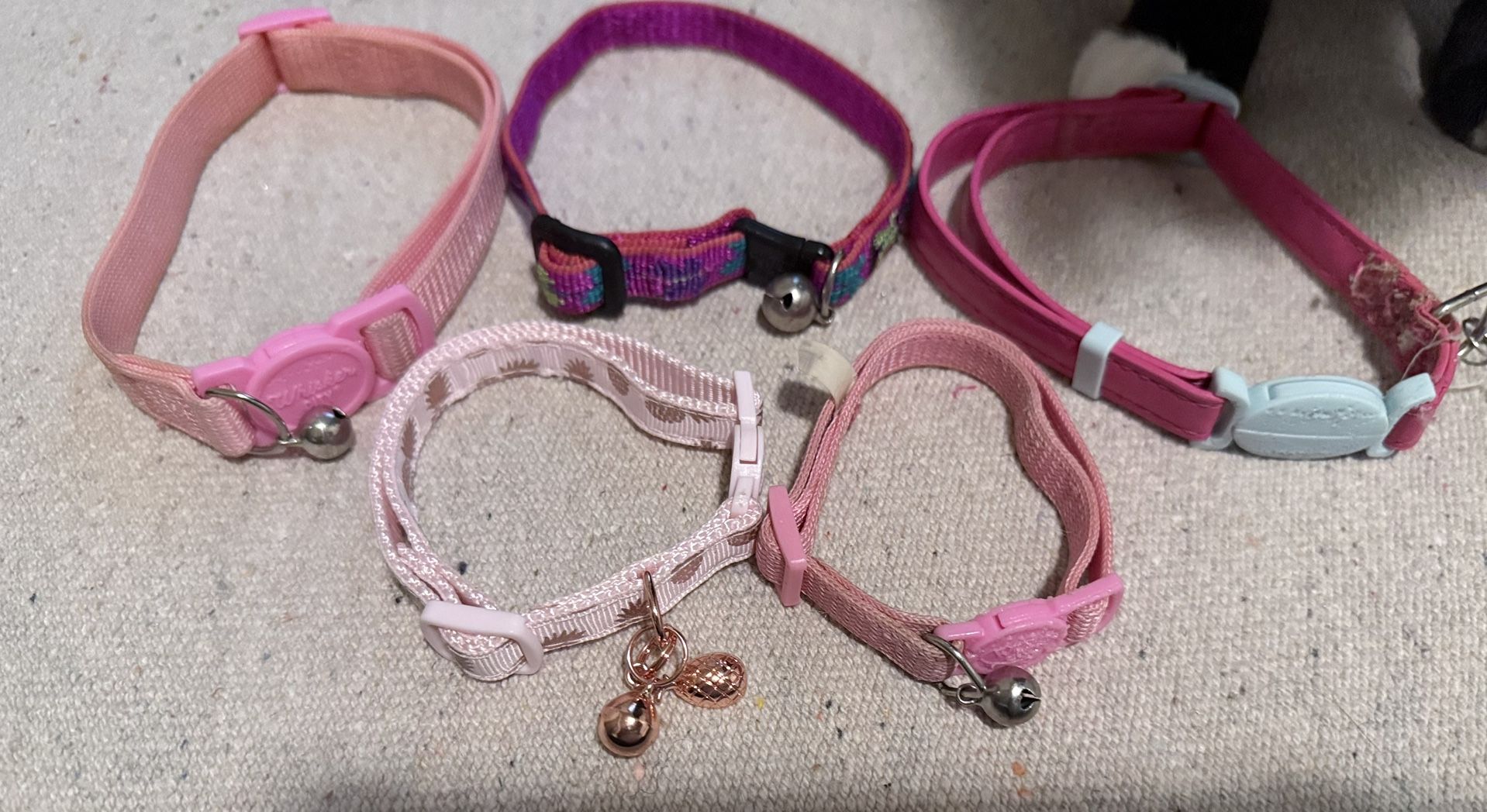 Cat Collars (Female)