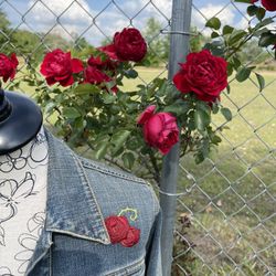 Custom Embroidered Ladies Levi Jacket