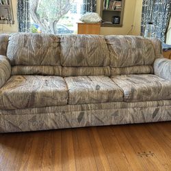 Sleeper Sofa – $50 OBO