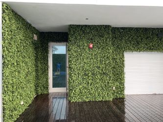 IVY WALLS