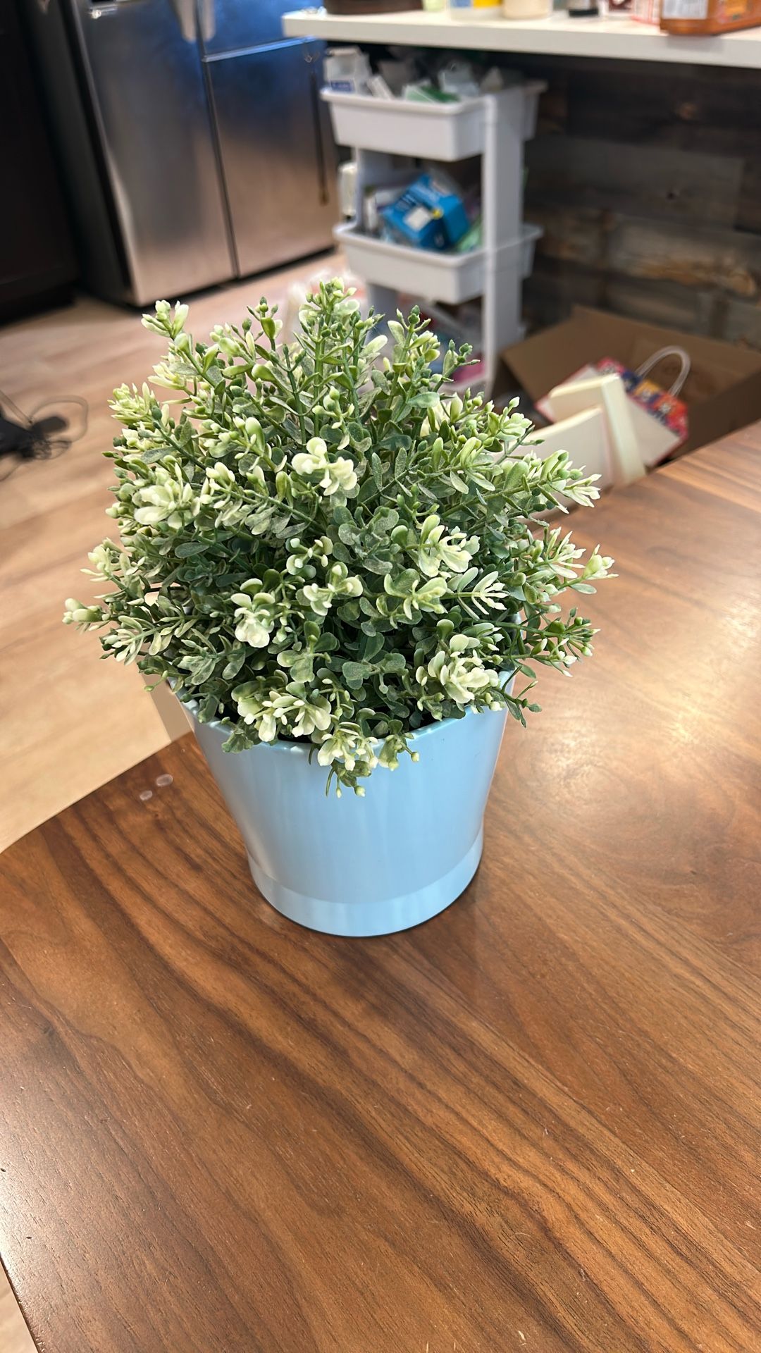 IKEA Table plant 