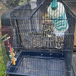 Bird Cage