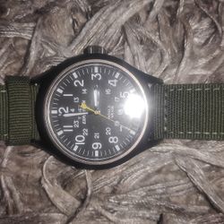 TIMEX Watch T49961 green