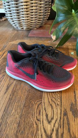 Nike Flex 2017 RN
