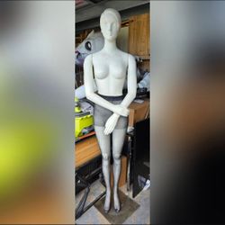 Female Mannequin
16" W X 6ft tall