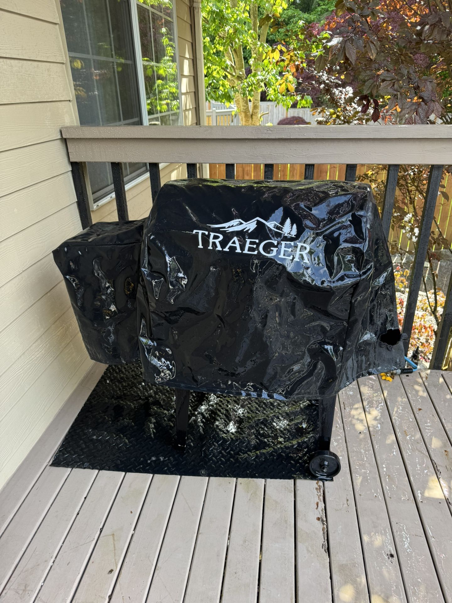 Traeger Smoker