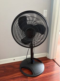 Tall fan