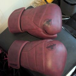 Hyabusa  T3 LX Crimson 14 Oz Gloves . Everlast Water Bag .