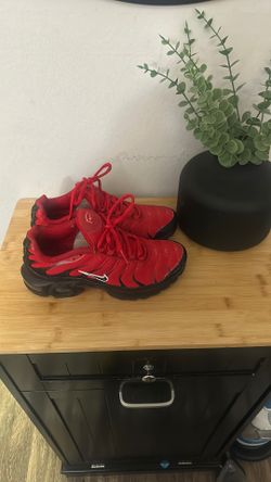Nike Air Max Plus