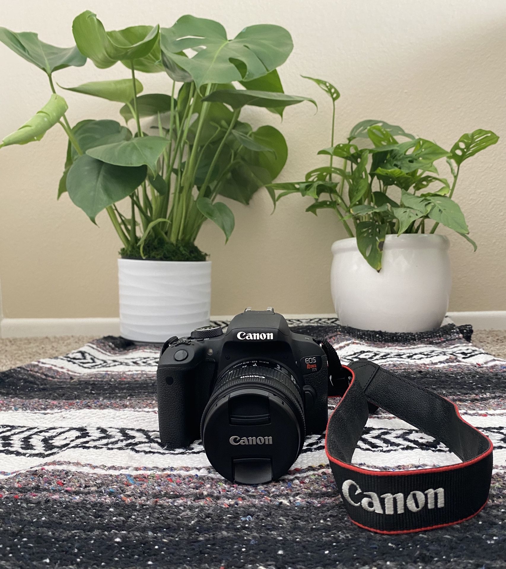 Canon Rebel T7i and many accessories