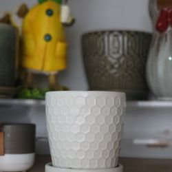 Honeycomb Planter