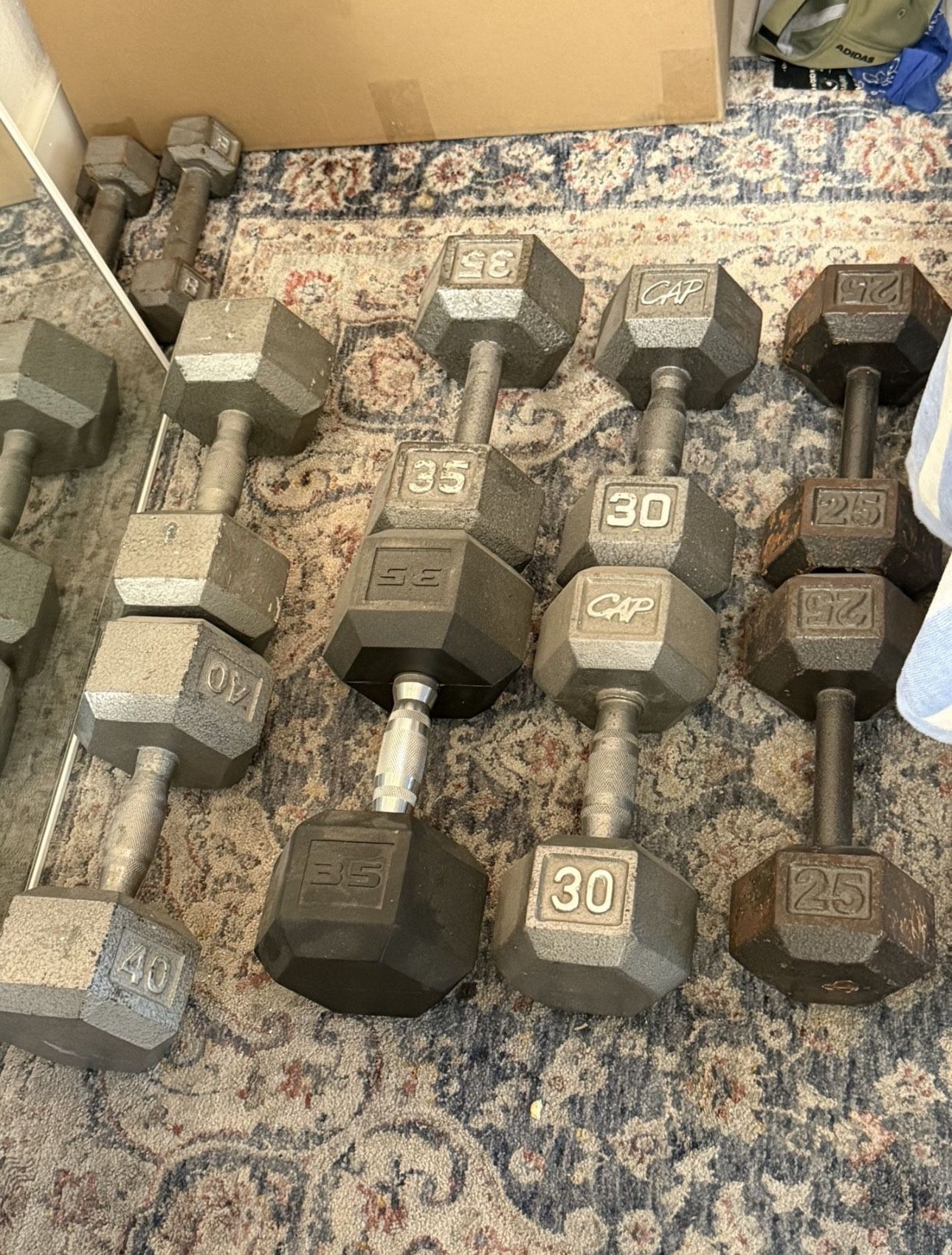Dumbbell  Weights 