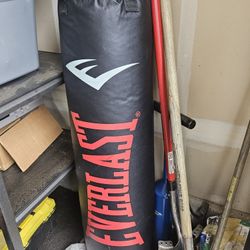 Everlast Punching Bag
