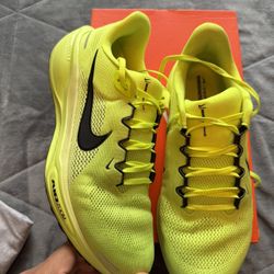 Nike Pegasus 41 Size 11