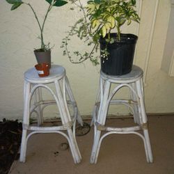 Plant + Plant Stand 
