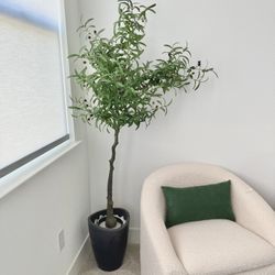 Faux Olive Tree 5’ Tall