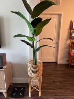Plastic Plant & Stand
