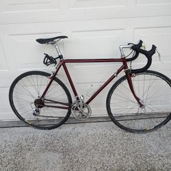 Vintage Burgundy Steel Trek Bike