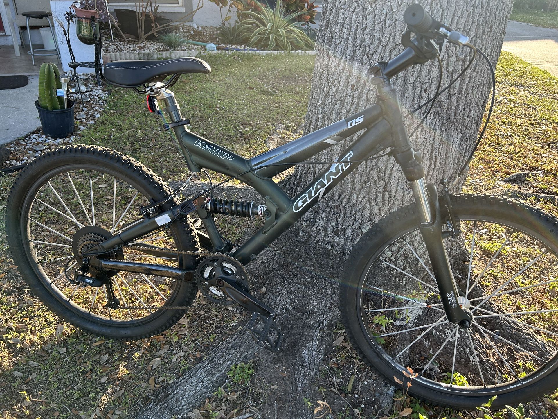 Giant Warp DS Mountain Bike SERVICED